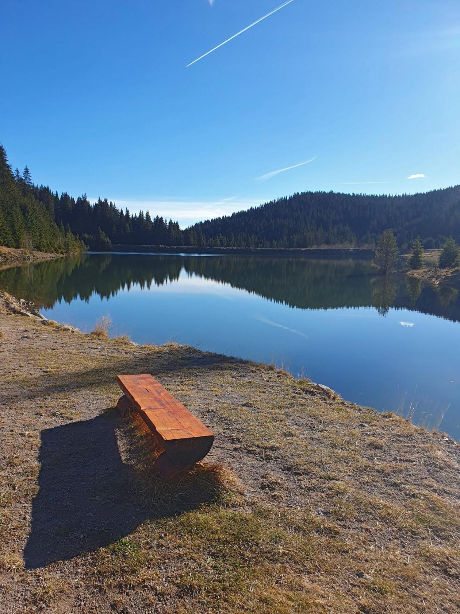 Lhapartment! Pamporovo Exteriér fotografie